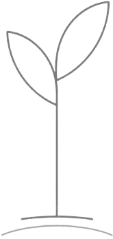 Leaf sprout graphic